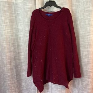 Super fun and cozy maroon sweater with black sequins.